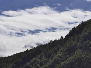 Dense forest, partly covered by foggy clouds, with a view of the blue sky, Peaks of the Balkans,