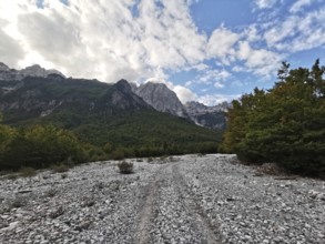 Rocky path leads through a flat riverbed towards wooded mountains, Peaks of the Balkans, hiking in