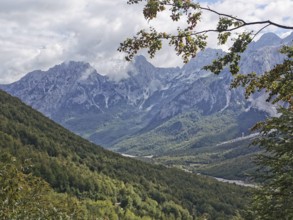 Panorama of a mountain range with forests and few clouds in the sky, Peaks of the Balkans, hiking