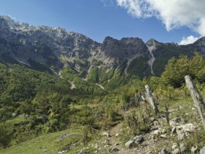Mountainous area with fences and a hiking trail under a clear sky, Peaks of the Balkans, hiking in