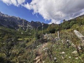 Rocky hiking trail along a hill surrounded by mountains under rugged skies, Peaks of the Balkans,
