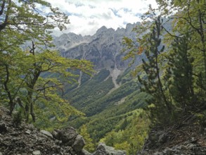 View through trees of wooded slopes and rugged mountains on a sunny day, Peaks of the Balkans,
