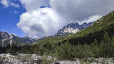 Majestic mountains with eye-catching cloud formations over dense forest, Peaks of the Balkans,