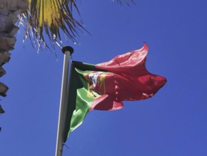 A Portuguese flag waving on a pole against a clear blue sky, Faro, Algarve, Portugal