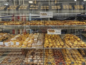 Bakery display cabinet with a variety of pastries, including Pastel de Nata, Lisbon, Portugal