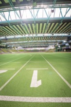 View of the green runway of an extensive indoor sports hall, Sindelfingen Glass Palace, Böblingen