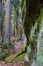 Winter atmosphere in the Hägeles- und Brunnenklinge nature reserve in the Swabian-Franconian