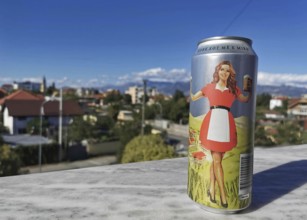 A colorful beer can with a woman in a red dress and a beer mug in her hand against a sunny urban