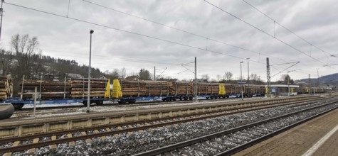 A goods train loaded with spruce trunks (picea) stands at a railway station under a cloudy sky,