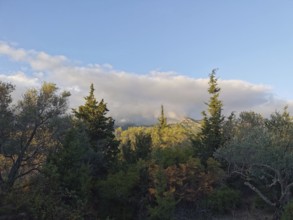 A forest with various trees in front of a sky with clouds and shimmers of light, Albanian Alps