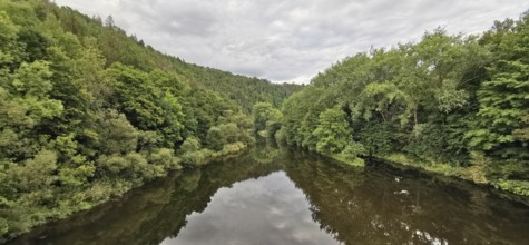 A river flows through a dense forest, reflecting surface and greenery, Thuringian Forest nature