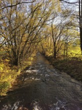 River flows through an autumn forest with yellow trees, Frankenwald nature park Park