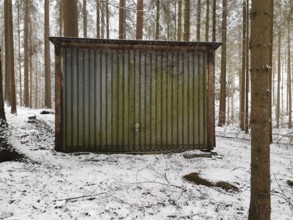 Old, mossy, rusty garage in a snow-covered forest, surrounded by tall trees, Frankenwald nature
