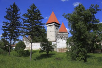 Schönberg fortified church, Dealu Frumos, a fortified Lutheran church in Sibiu County, Sibiu, in