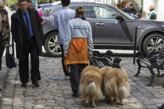 Woman with two collies on a leash in the city, Lviv, Ukraine