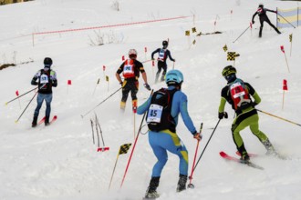 Athletes downhill at the Jennerstier, Skimo, Jenner, Schönau am Königssee, Berchtesgadener Land,