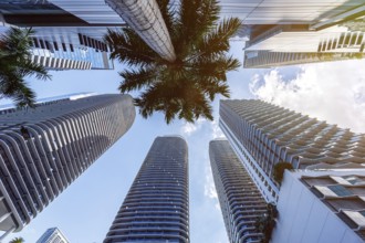 Miami skyline with high-rise real estate in the Brickell district of Miami, USA