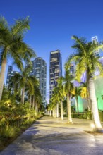 Miami skyline with high-rise real estate at night at Maurice A. Ferre Park in Miami, USA