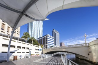 Tampa Riverwalk Promenade on the Hillsborough River Skyline with skyscrapers downtown in Tampa, USA