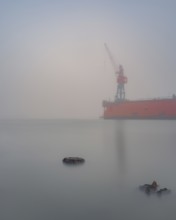 View of old weathered wooden pegs on a dry dock at the port of America on which a crane stands in