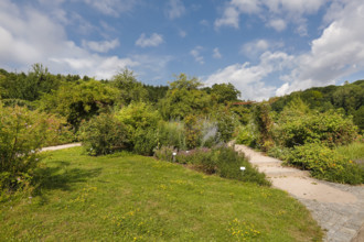Path, lawn, various plants, flower bed, sky, clouds, Ulm University Botanical Garden,