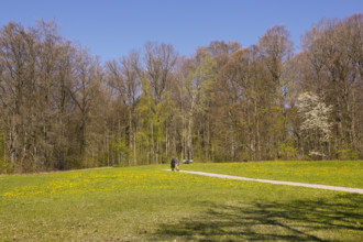 Walkers on path, meadow, bare trees, spring, Ulm University Botanical Garden, Baden-Württemberg,