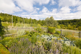Cottage garden, outdoor area, wooden fence, various crops, flower bed, Ulm University Botanical