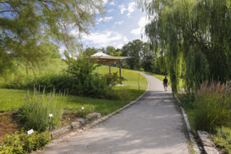 Path, pergola, plants, trees, perennials, meadow, lawn, man with backpack, Ulm University Botanical