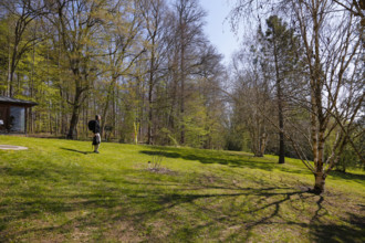 Man with backpack, meadow, bare trees, spring, Ulm University Botanical Garden, Baden-Württemberg,