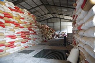 Warehouse for bags full of coffee beans, coffee plantation in the Jutiapa department, Guatemala