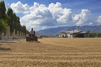 Guatemalan man spreading coffee beans with a machine to dry, coffee plantation in Jutiapa