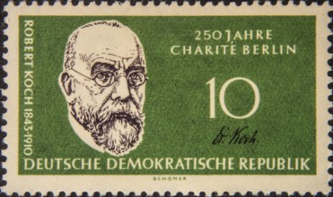 Heinrich Hermann Robert Koch (1843-1910) was a German physician and bacteriologist. Koch was