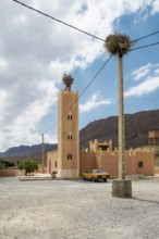 Traditional buildings and stork nests, near Errachidia, Drâa-Tafilalet region, High Atlas, Morocco