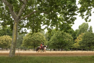 Rider, Hyde Park, Westminster, London, England, Great Britain