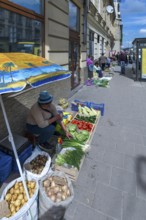 Vegetable sales from simple farmers on the road, Lviv, Galicia, Ukraine