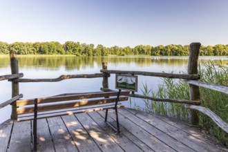 Bench on a viewpoint on the large pond, Guttauer Teiche, Oberlausitzer Heide- und Teichlandschaft,