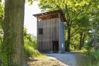 Observation tower at Brösaer Teich, Guttauer Teiche, Oberlausitzer Heide- und Teichlandschaft,