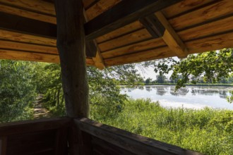 View from the observation tower at Großteich, Guttauer Teiche, Oberlausitzer Heide- und