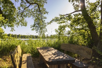 Seating area on the banks of Brösaer Teich, Guttauer Teiche, Oberlausitzer Heide- und