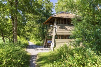 Observation tower on the large pond, Guttau ponds, Upper Lusatian heath and pond landscape, Guttau,