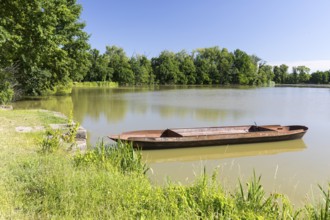 Fishing barge on a fishing pond in the Upper Lusatian heath and pond area, Malschwitz, Saxony,