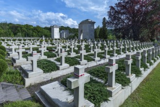 Ukrainian citizen soldier graves on an area of Lützenhofer cemetery Lychakivsky cemetery, Lviv,