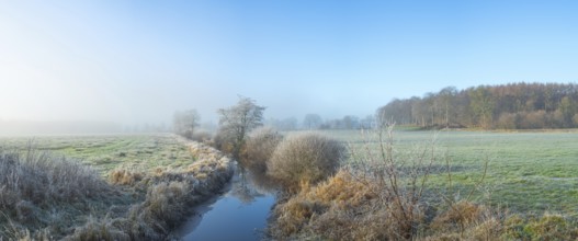 View along a ditch where trees and grasses grow on the shore and the morning dew is frozen, Winter,
