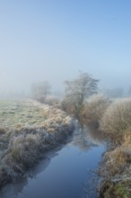 View along a ditch where trees and grasses grow on the shore and the morning dew is frozen, Winter,
