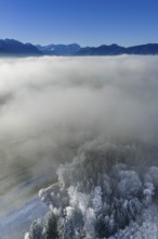 Winter landscape, fog, high fog, mountain landscape, hoarfrost, cold, trees, forest, winter, sunny,