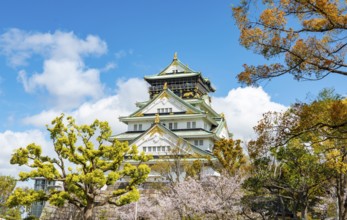 Osaka castle with blooming cherry trees in the park, Osaka Castle Park, Chuo-ku, Osaka, Japan