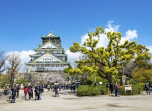 Osaka castle among trees in the park, visitors in Osaka Castle Park, Chuo-ku, Osaka, Japan