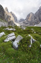 Cliffs and pinnacles in fog, Brenta Mountains, Brenta-Adamello Natural Park, Trentino, Italy