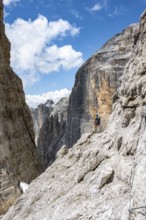 Hikers on the Sentiero Brentari via ferrata in front of cliffs, Brenta Mountains, Brenta-Adamello