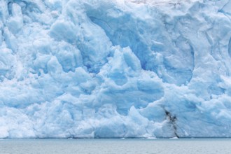 Blue ice wall of Idabreen, Ida glacier calving into Liefdefjorden at Idabukta bay, Haakon VII Land,